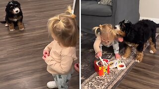 Little Girl Has Heartwarming Meeting With Friendly Puppy