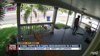 Tampa homeowner captures brazen mail theft on surveillance camera