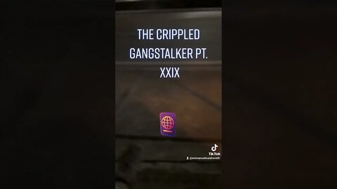 Gang-stalking in Action : The TikTok Edition on YouTube : The Crippled Gangstalker Pt. XXIX