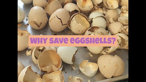 Why save eggshells?