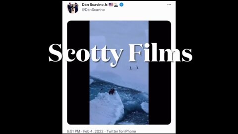 💥 [2.5.22] Elvis - Run On - Scotty Films 💥