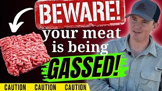 Farmer Exposes Behind the Scenes Food Industry Scandals. Beef and Chicken Warning