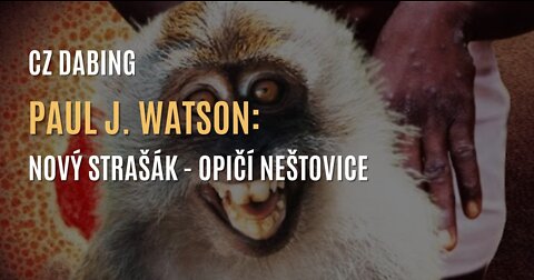Paul J. Watson: Nový strašák - Opičí neštovice 🙉 (CZ DABING)