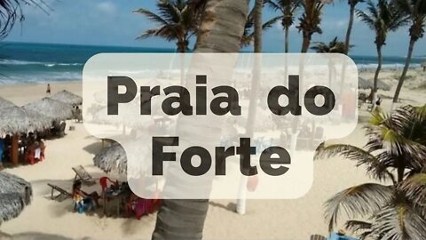 Praia do Forte #turismo #viagem #praia