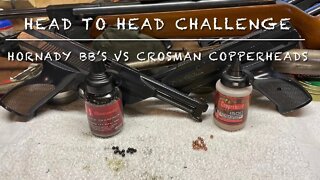 Hornady black diamond BB’s by Umarex vs Crosman Copperhead BB’s with the Daisy 188 pistol