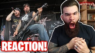 Turn Away From Evil! HATEBREED - I Will Be Heard | REACTION!!