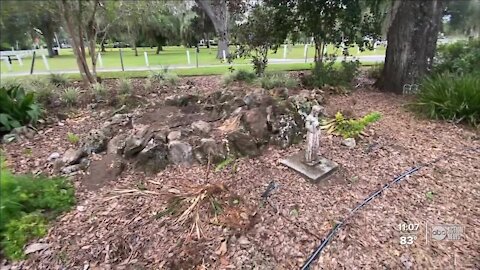 Dade City community garden damaged, plants stolen just before festival