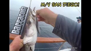 (46) 06/21/2018 - Personal best Barracuda taken aboard The San Diego out of Seaforth Sportfishing