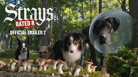 Strays Official Trailer 2