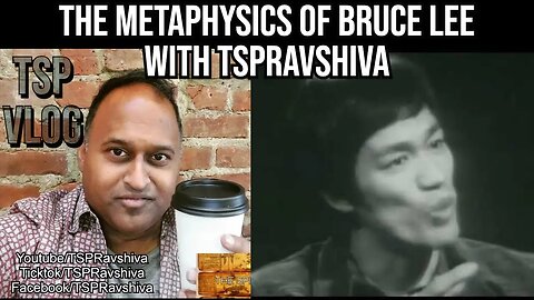TSP Commentary on The Metaphysics of Bruce Lee