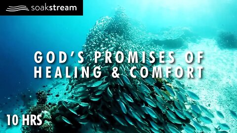 God's Promises of Healing & Comfort - 10 Hour Scripture Soaking With God's Word
