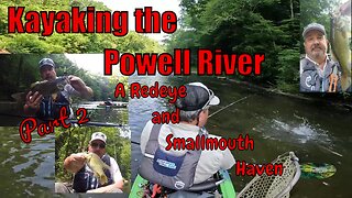 Kayaking the Powell River, A Smallmouth and Redeye haven (Part 2)
