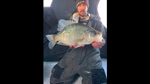HUGE 17.5 inch crappie RELEASED during a tournament on FishDonkey.