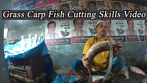 Grass Carp Fish Cutting Skills In Fish Cutting Market-Grass Carp Fish Cutting-Fish Wall BD