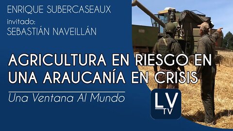 Agricultura en riesgo en una Araucanía en crisis