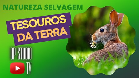TESOUROS DA TERRA - NATUREZA SELVAGEM