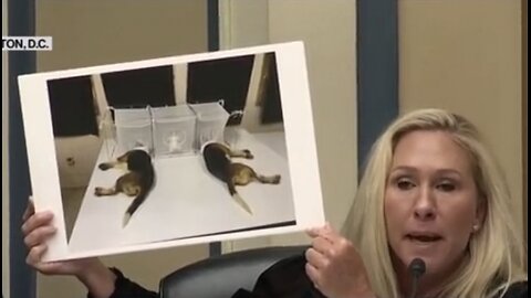 🔥 Marjorie Taylor Greene showed Fauci pictures of the nasty dog ​​torture experiments