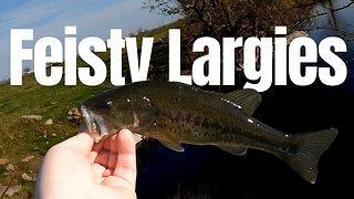 Elusive Gar and Feisty Largemouth | Night Fishing and Rock Quarry Fishing