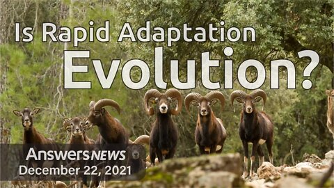 Is Rapid Adaptation Evolution? - Answers News: December 22, 2021