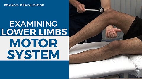 Lower limbs Motor System Examination