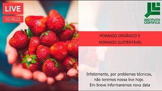 MORANGO ORGÂNICO E MORANGO SUSTENTÁVEL