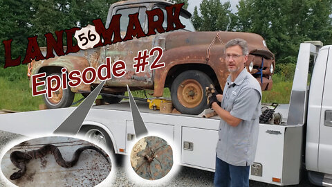 We found VENOMOUS CRITTERS! | Landmark '56 Project Episode 2#