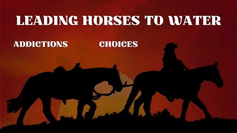 Leading Horses to Water