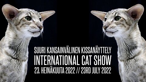 International Cat Show - 2022