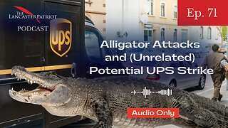 Alligator Attacks and Potential UPS Strike