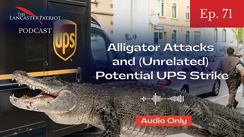 Alligator Attacks and Potential UPS Strike