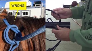 How To Tie A Horse Rope Halter - Why This Knot Is Important