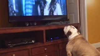This Bulldog Warns Movie Character About Impending Doom