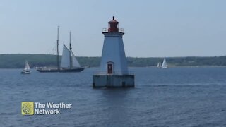 Birds and boats on the coast of Southern Nova Scotia