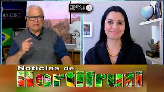 Notícias de Hortifrúti com Mariana Aranha