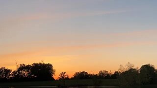 Sunset on the Pond #shorts #live #feedingcatfish #catfish