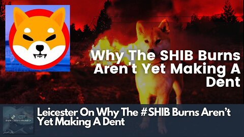 Leicester On Why The #SHIB Burns Aren’t Yet Making A Dent