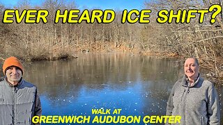 AN OMINOUS SOUND! | GREENWICH AUDUBON CENTER