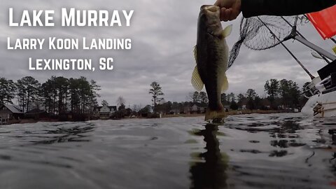 Lake Murray - Larry Koon Landing - Kayak Fishing for Bass - Lexington, SC (1/19/20)