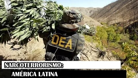 Narcoterrorismo: América Latina