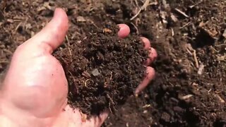 The power of healthy soil for maximum growth