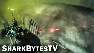 Submarine Shark Caught on Video - Shark Bytes TV Episode 10 - Monster Sharks AT 3,300 FEET