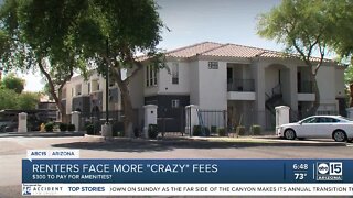 Let Joe Know - Renters face more "crazy" fees