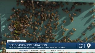 Local beekeepers discuss methods to protect people from swarms