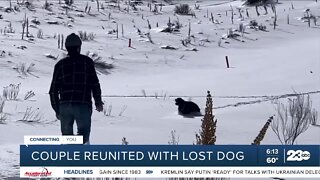 Couple reunited with lost dog