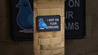 pigeons are jerks patch #funny #shorts