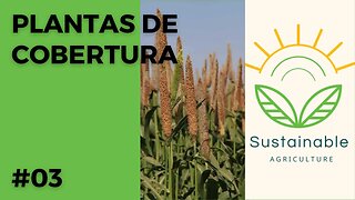 Principais Plantas de Cobertura (PRIMAVERA/VERÃO) utilizadas na Agricultura