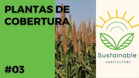 Principais Plantas de Cobertura (PRIMAVERA/VERÃO) utilizadas na Agricultura