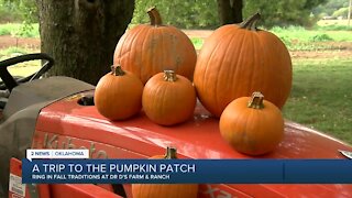 A trip to the pumpkin patch: Dr. D's Farm & Ranch