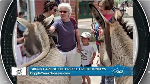 Donate Today // Cripple Creek Donkeys