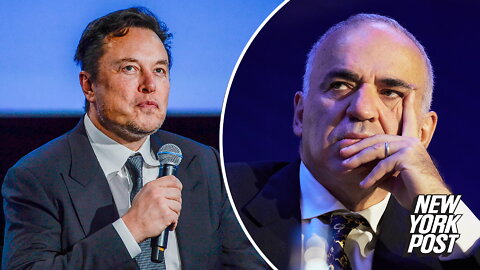 Elon Musk calls chess champion Gary Kasparov an 'idiot' and 'douche' in Ukraine spat